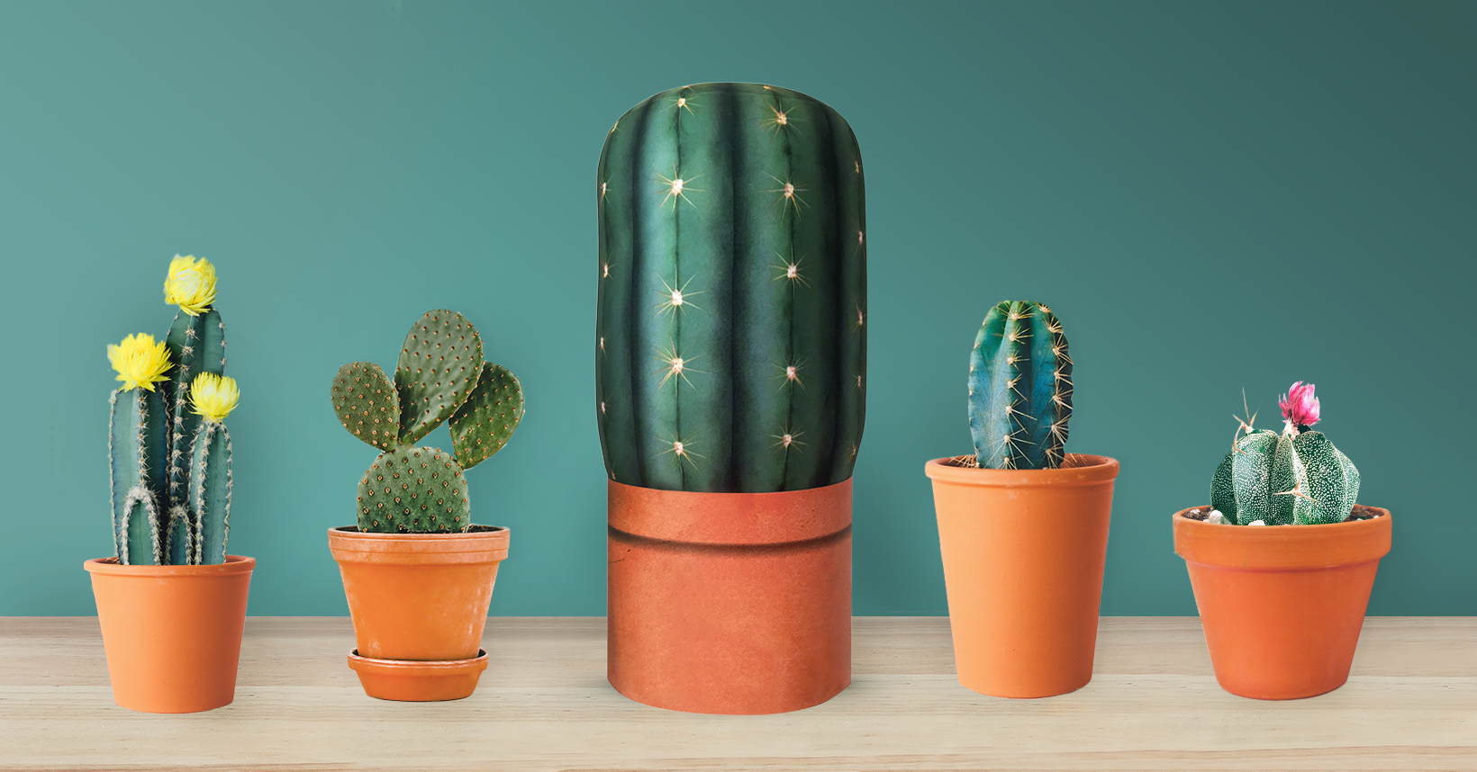 Cactus_Lineup
