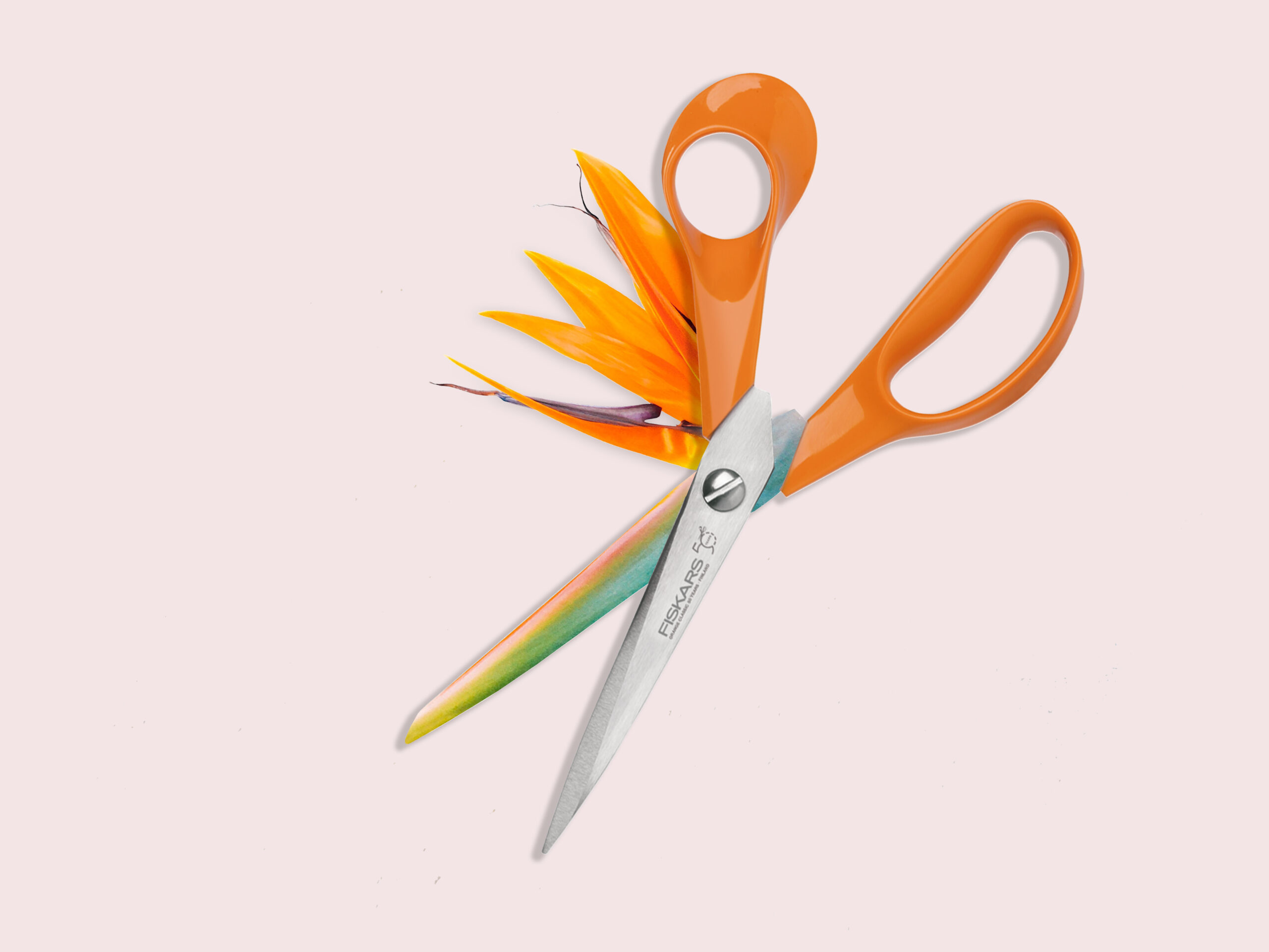 Scissors_Flower_